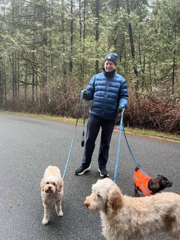 dog walker walking three dogs