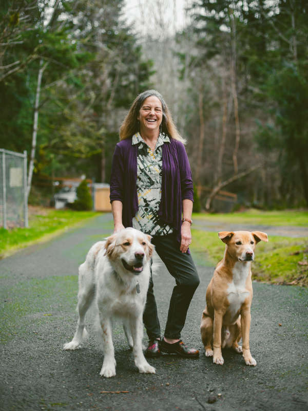 Dog walker walking dogs